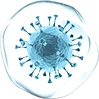 SARS-CoV-2 Proteins